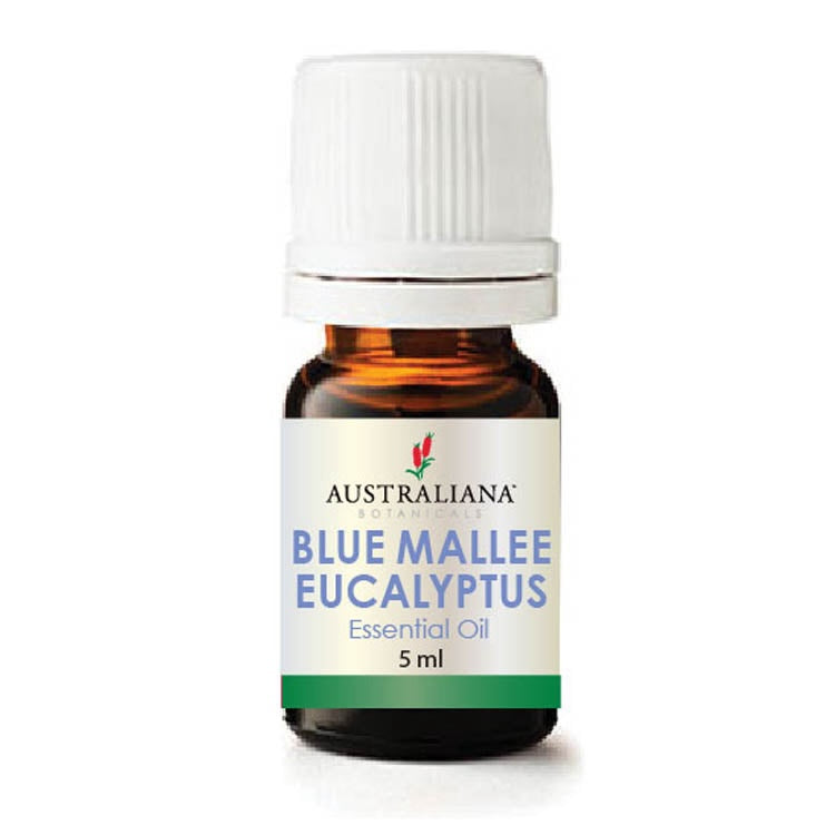 Blue Mallee Eucalyptus Essential Oil