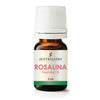 Lavender Tea Tree (Rosalina) Essential Oil